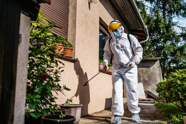 Best Residential Pest Control  in Winslow, AZ