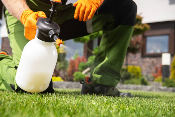 Pest Prevention Services in Winslow, AZ