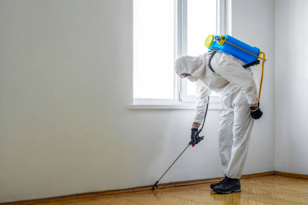 Best Emergency Pest Control  in Winslow, AZ