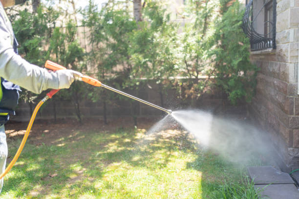 Reliable Winslow, AZ Pest Control Solutions