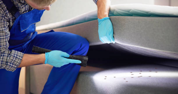 Best Local Pest Control Services  in Winslow, AZ