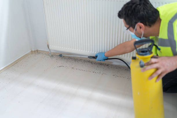 Best Pest Prevention Services  in Winslow, AZ
